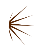 bords